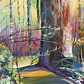 Finding the Forest