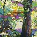 Forest Spring