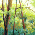 Park Walk 3